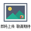 DN3-50耐火瓷球